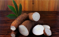 Tapioca (Cassava)